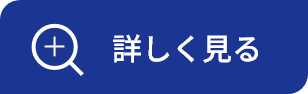 詳しく見る