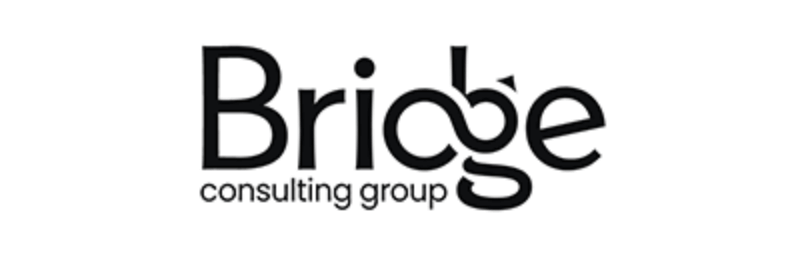 Bridge consulting group
